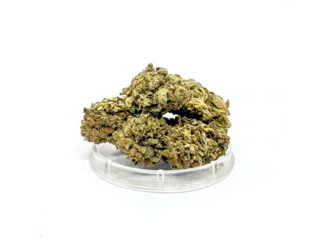 Sativa Poland Susz CBD OG Kush - 2